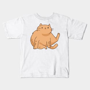 Fluffy cat Kids T-Shirt